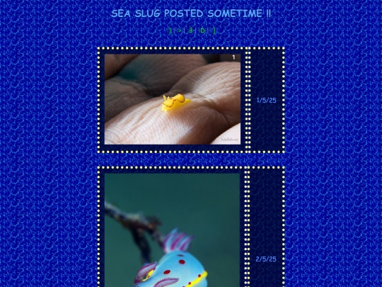 slug screenshot