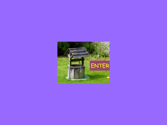 well/enter screenshot