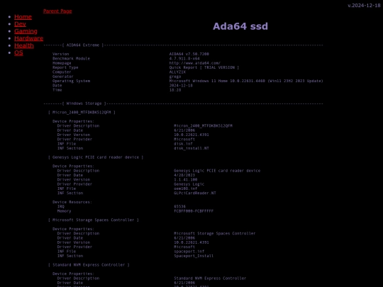 gaming/handhelds/Allyz1e/specs/aida64ssd screenshot