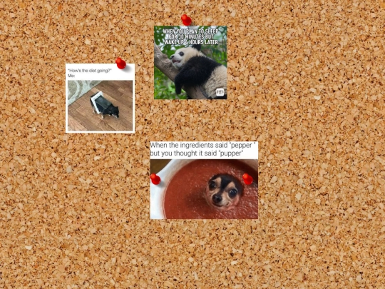 memes screenshot