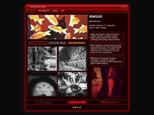 test screenshot