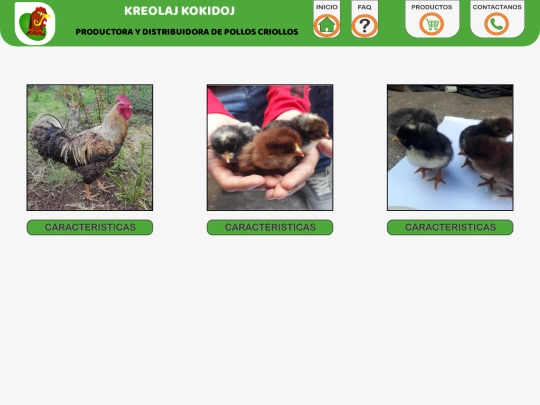 productos screenshot