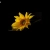javierfernandezmartin's avatar
