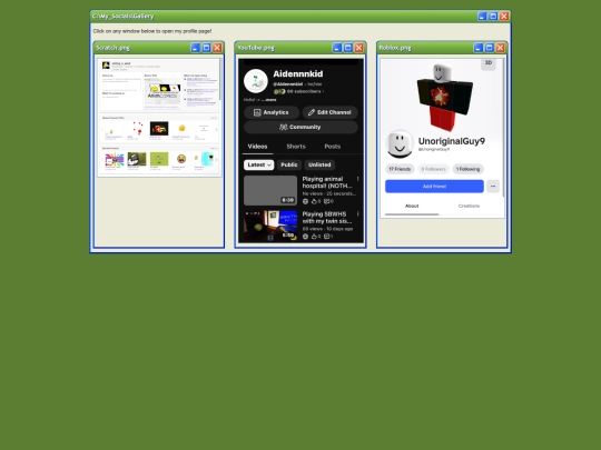 SocialGallerys screenshot