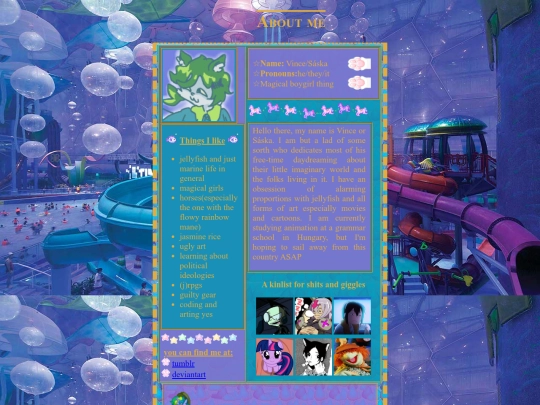 aboutme screenshot