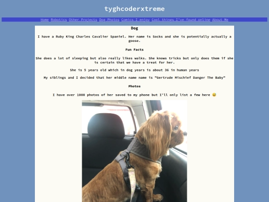 doggo screenshot