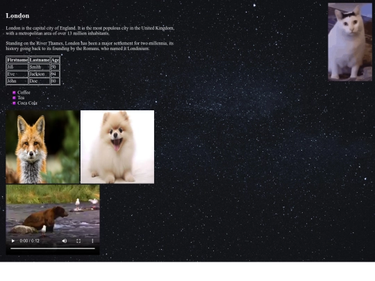 www/D1/css screenshot