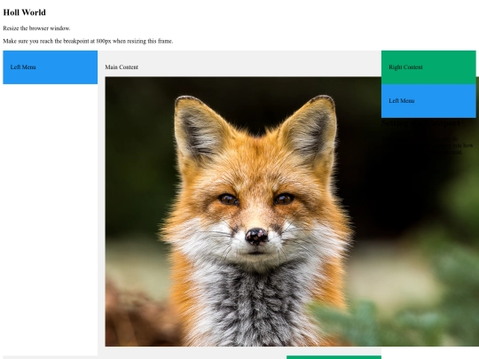 www/D1/rwd screenshot