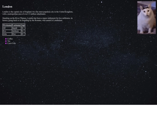 www/css screenshot
