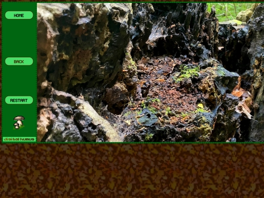 projects/NaSaun/BR/25-06/003 screenshot