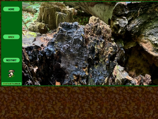 projects/NaSaun/BR/25-06/004 screenshot