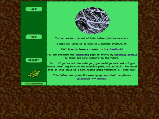 projects/NaSaun/FB/26-01/the_end_7210 screenshot
