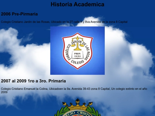 paginas/Informacion academica screenshot
