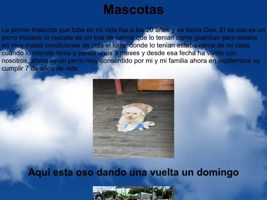 paginas/Macotas screenshot