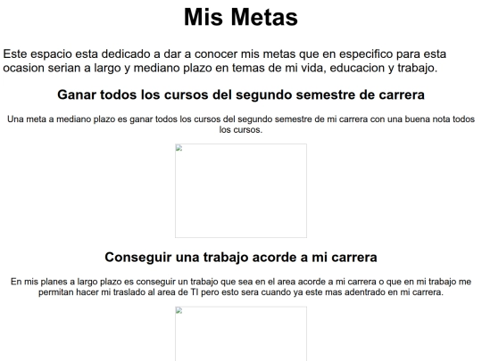 paginas/Metas personales screenshot