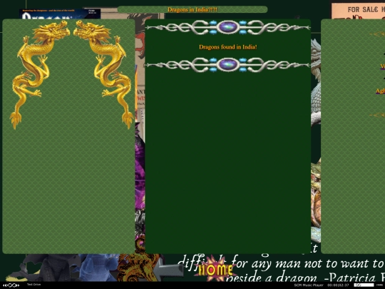 India screenshot