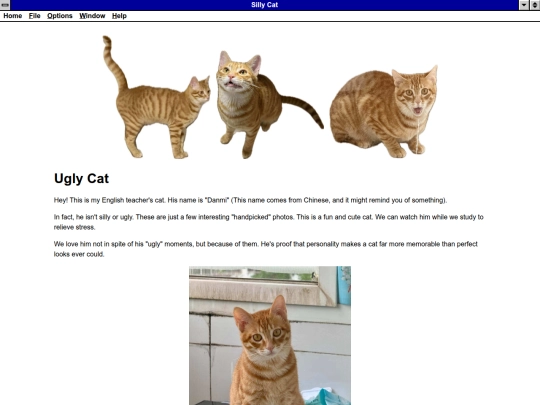 contents/silly_cat screenshot