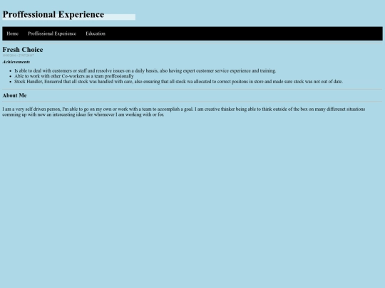 CV Professional Experience screenshot