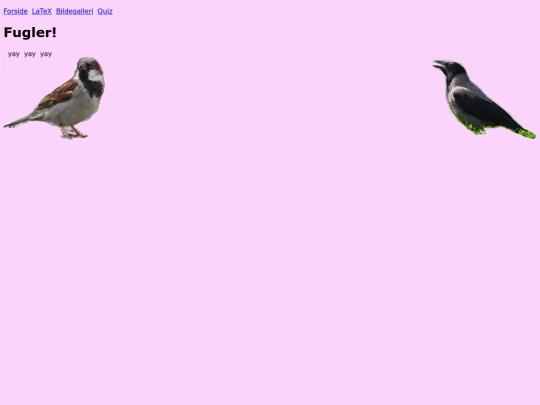 fugler screenshot