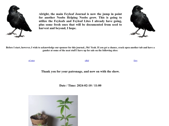 Ravens-Garden/Secret Garden/Grow-Journals/NHN-0001 screenshot