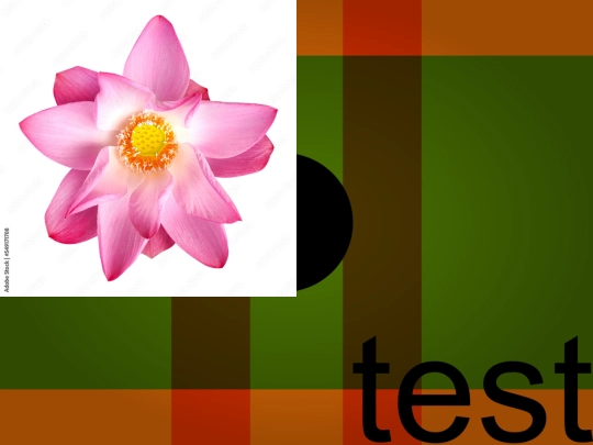 test screenshot