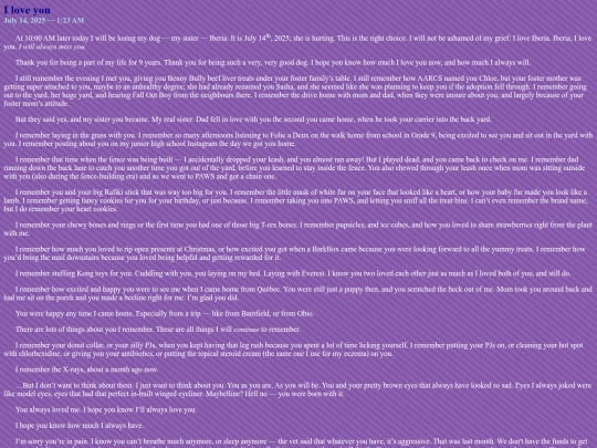 blog/entries/2025/2025-07-14 screenshot