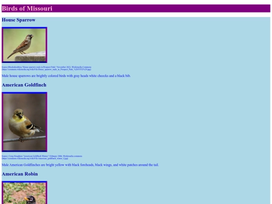 bird screenshot