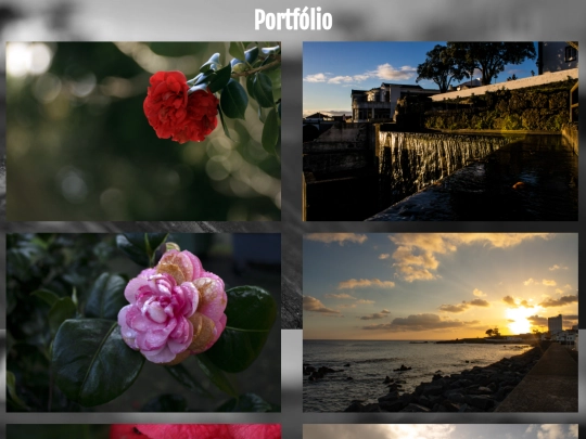 portfólio screenshot