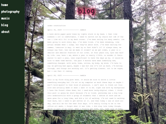 blog screenshot