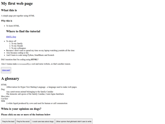 myfirstpage screenshot