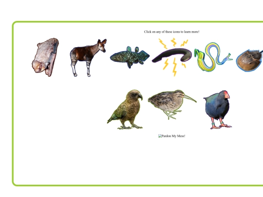 animals-i-like-home screenshot