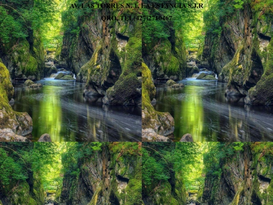 piepagina screenshot