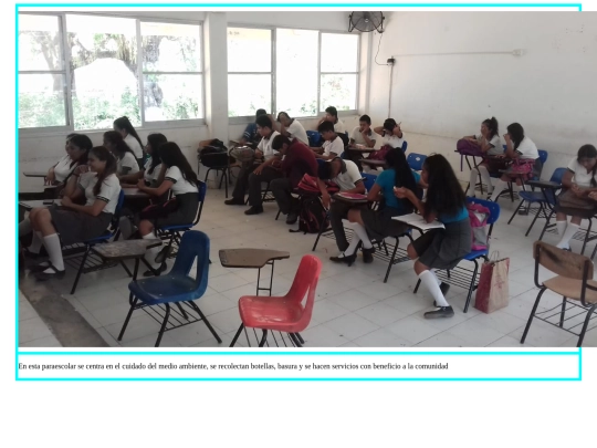 Pages/serviciosEscolares screenshot