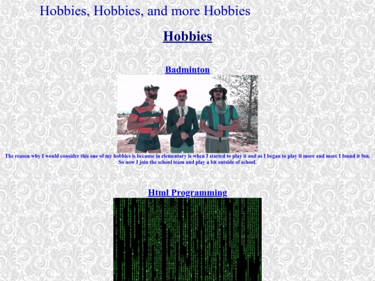 my website hobbies portion screenshot
