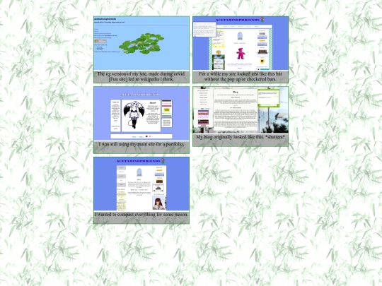 collection/history/history screenshot