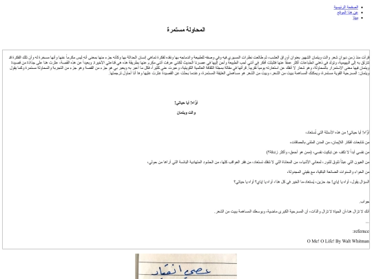 essay screenshot
