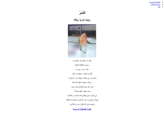 namer screenshot