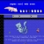 icebludragon.neocities.org avatar
