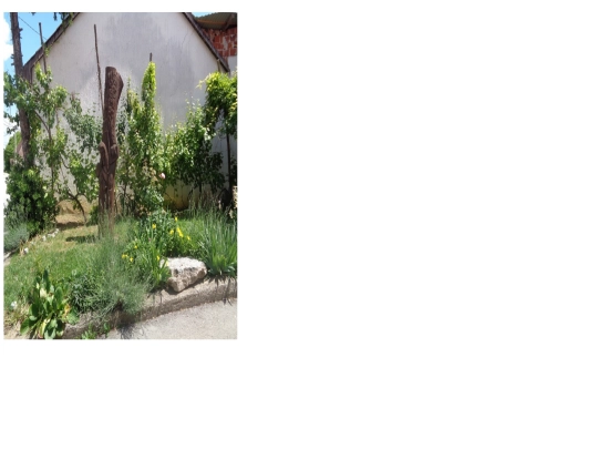 desnaStranica11 screenshot