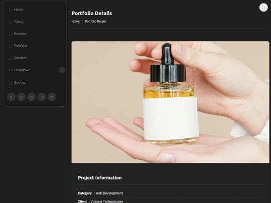 portfolio-details screenshot