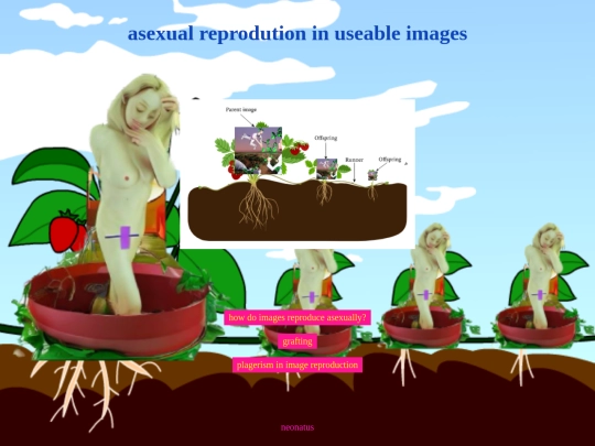 imageevolutions screenshot