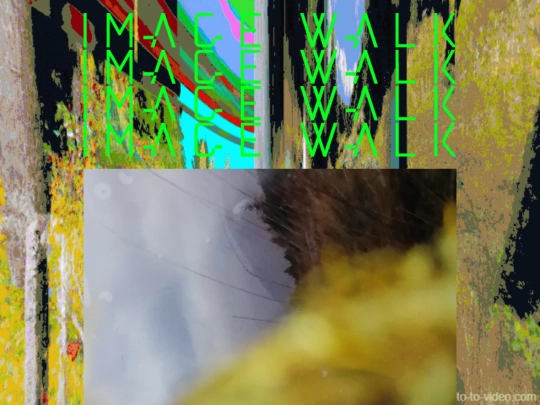imagewalk screenshot