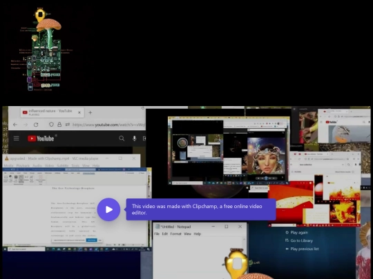 videovideo screenshot