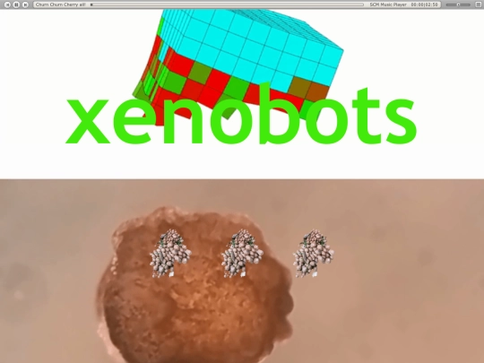 xenovenus screenshot
