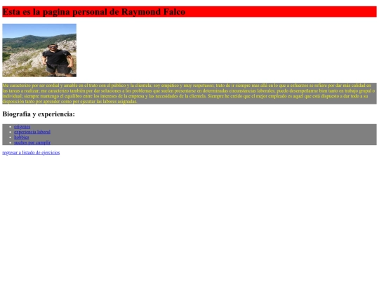 tercerejercicio/raymonfalcopersonalwebpage screenshot