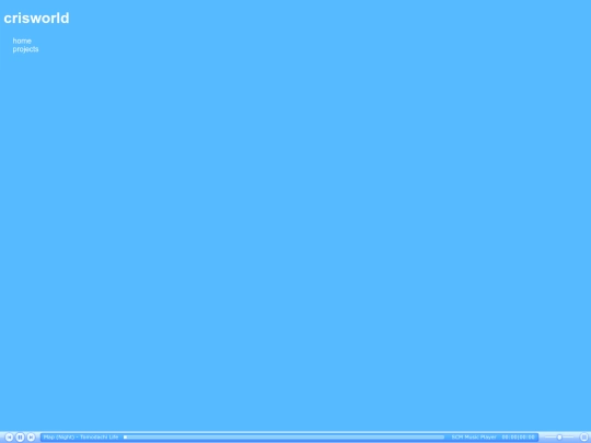 projects screenshot