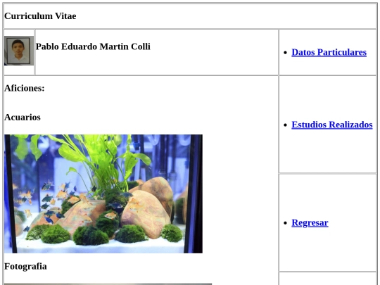 Actividad2.4/aficiones screenshot