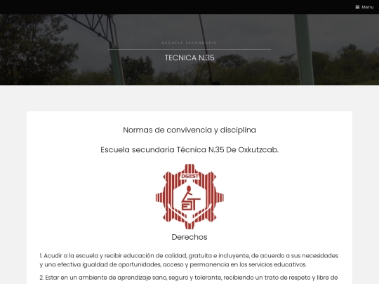 tecnica35/reglamento screenshot
