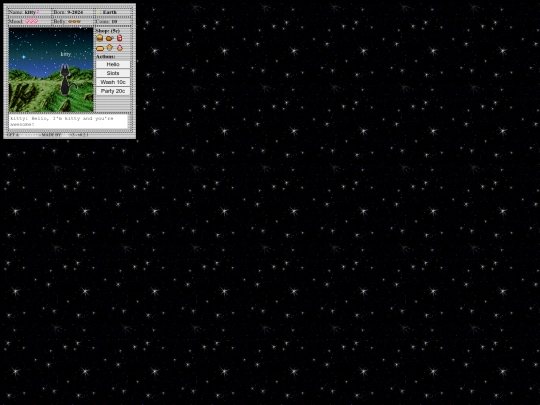 about.html/test2 screenshot