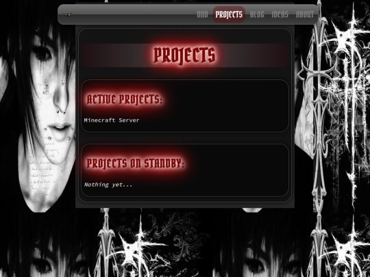 projects screenshot